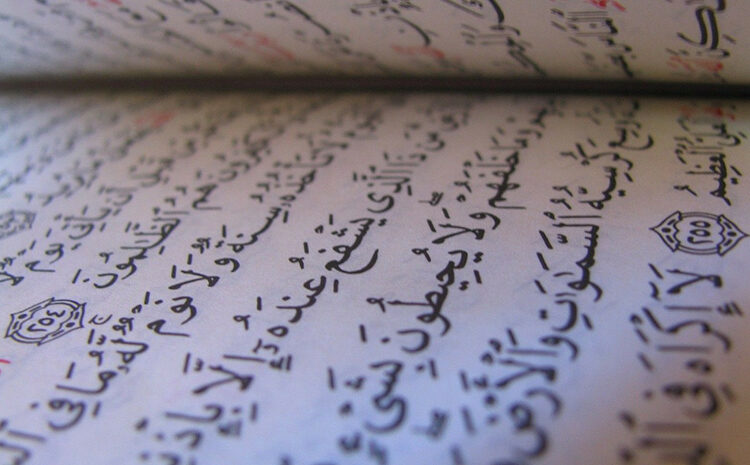 Learn Quran Word By Word, tajweed online, learn tafseer online, learn to recite holy quran - TarteeleQuran